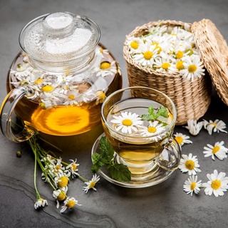 Hạt Giống Cúc Trà CHAMOMILE 216 (0.1g)