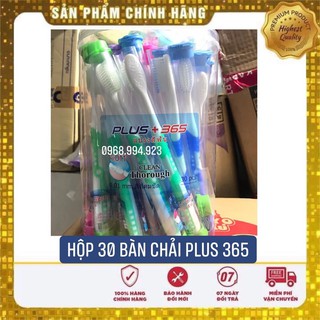 1 hộp 30 cây bàn chải plus 365 thái lan