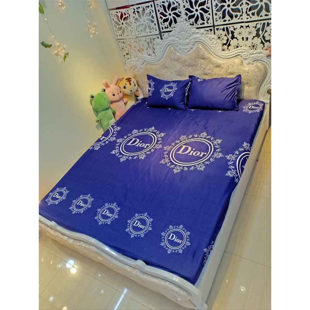 Bộ ga gối 💖m6/m8💖 drap giường poly, ga trải giường + 2 vỏ gối nằm đơn giản An Như Bedding | BigBuy360 - bigbuy360.vn