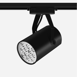 Đèn led chiếu điểm 12W