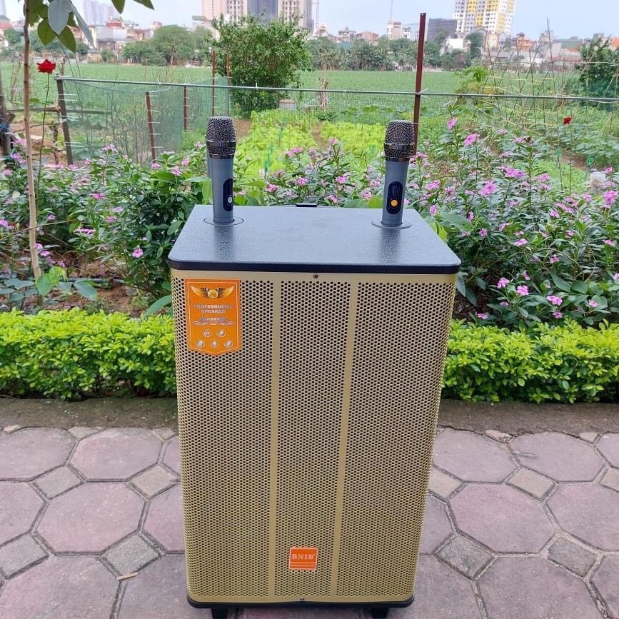 Loa karaoke bluetooth, loa di đông karaoke giá rẻ hát cực hay tặng kèm mic không dây chống hú