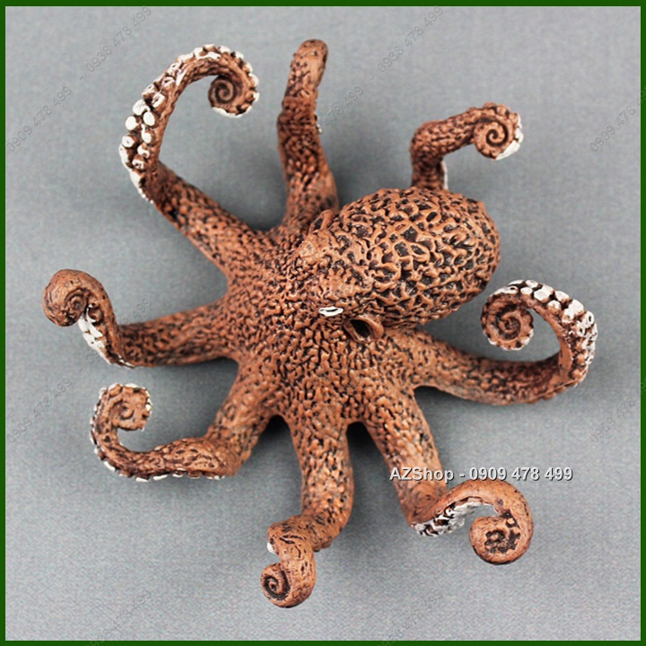 Mô Hình Bạch Tuộc Gai Sống Động  - 7703.6