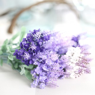 Hoa giả - Hoa Lavender