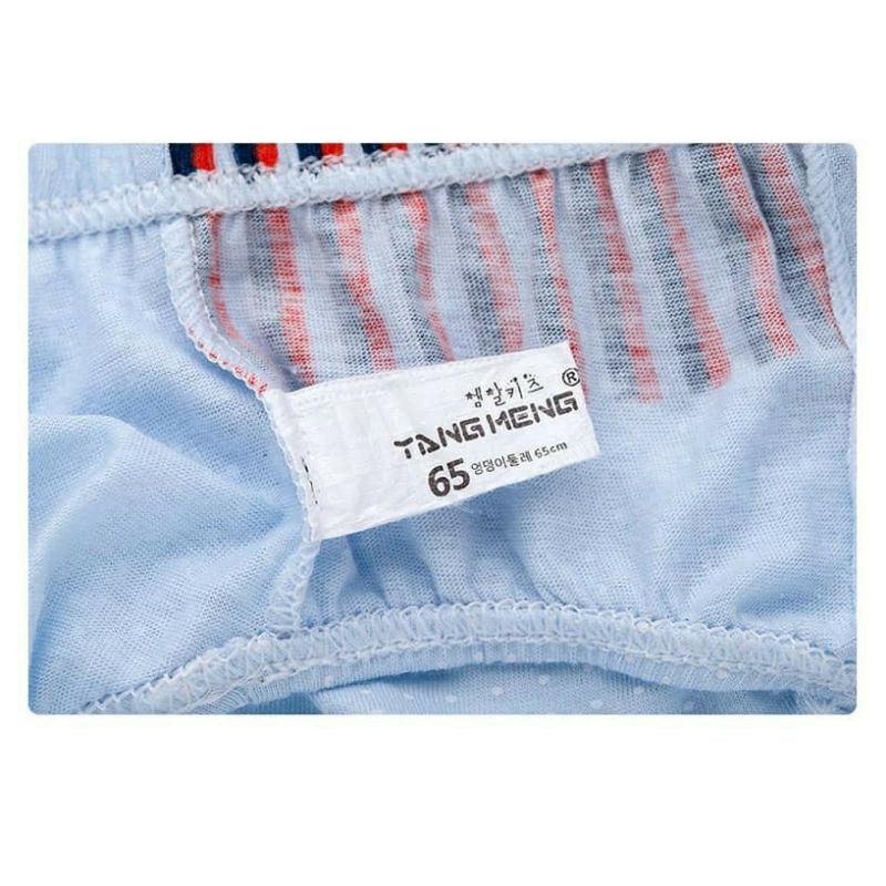 DOMINI - có hình thật - Set 5 quần lót cotton hàn quốc cho bé trai mẫu MARRINE BOY