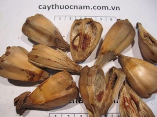 Quả dứa dại khô