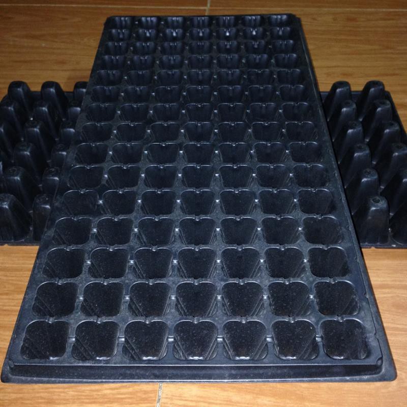 Hộp 150 khay ươm cây (Dày 1mm, nặng 120g), khay ươm hạt, vỉ ươm rau (105 lỗ)