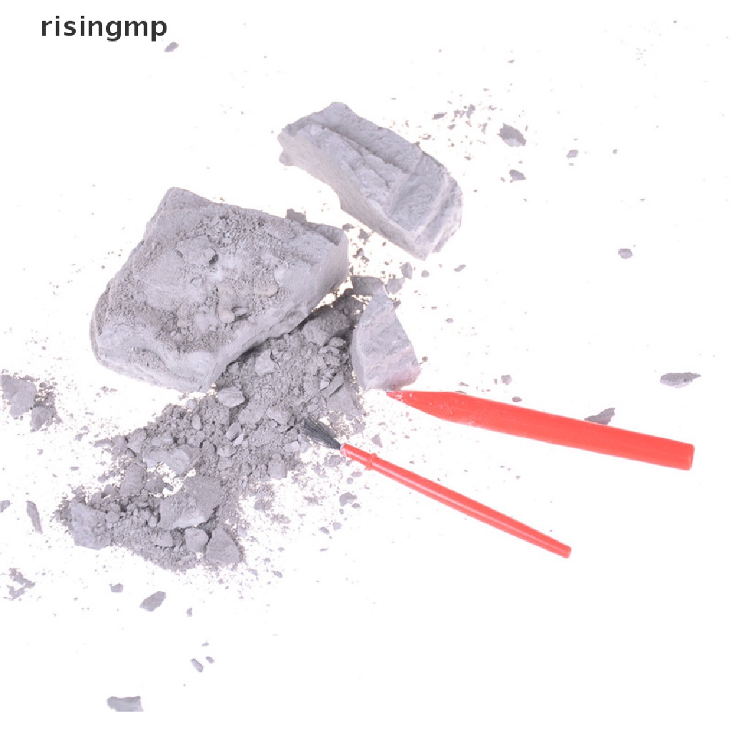 Bộ Đồ Chơi Khai Quật Hóa Thạch Khủng Long Cho Bé ♨Trên đó