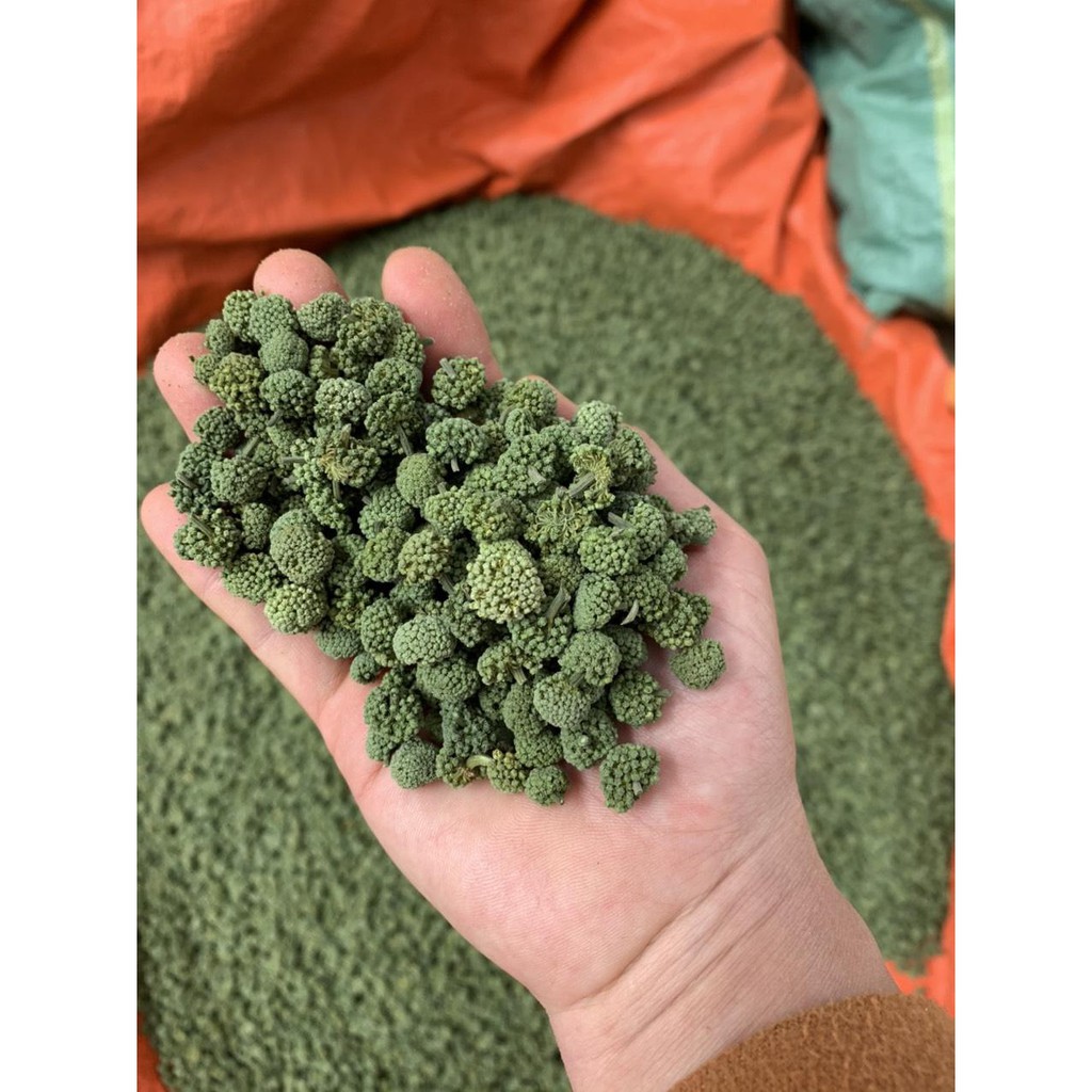 200gr NỤ TAM THẤT BAO TỬ KHÔ - hỗ trợ mất ngủ