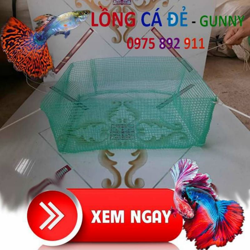 Lồng đẻ cho cá cảnh ( các loại cá cảnh )