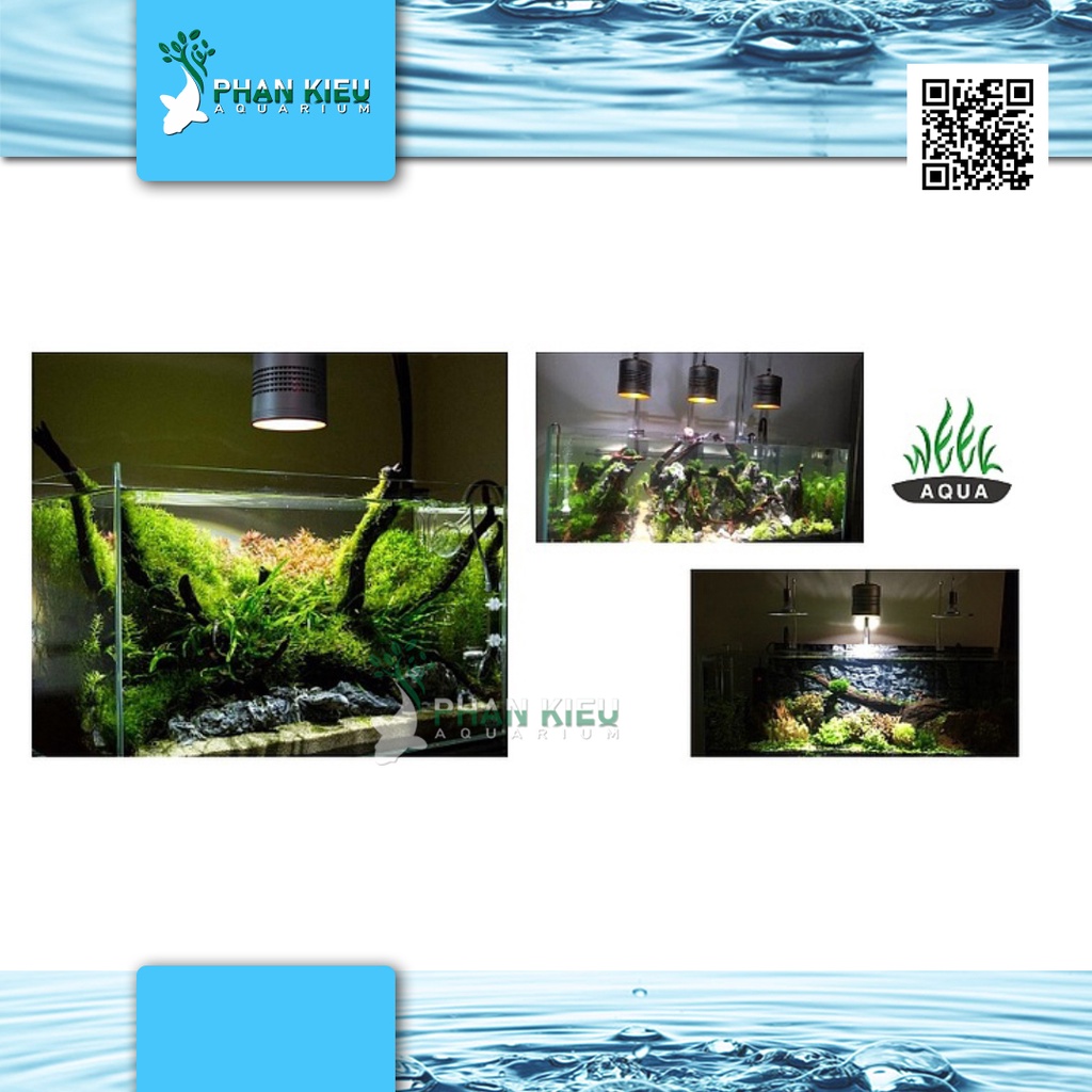 ĐÈN LED RỌI WEEK RGB T90 PRO 90W | CHỈNH APP