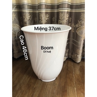 Chậu nhựa trồng cây 2 cái loại Boom
