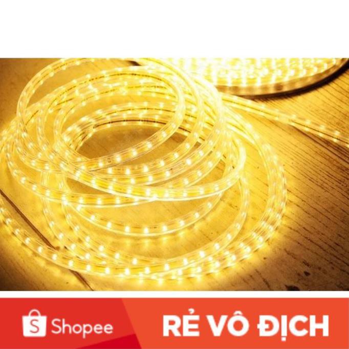 Đèn led dây đôi 2835 ĐƠN MÀU GIÁ 1 CUỘN 100M