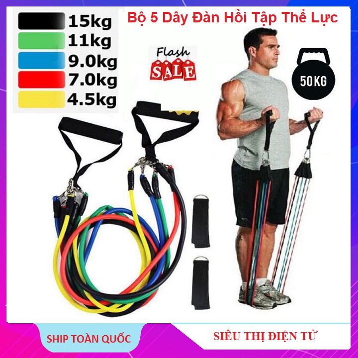 Bộ dây đàn hồi tập thể lực Zeno có 5 dây thế hệ mới - 1 Bộ Gồm 5 Dây