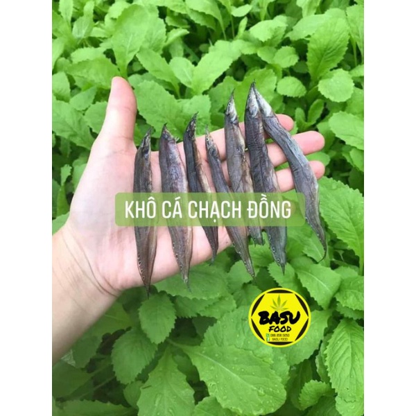 Khô cá chạch đồng (loại 1)