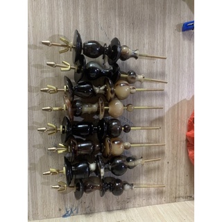 Nậm sừng khuyên
