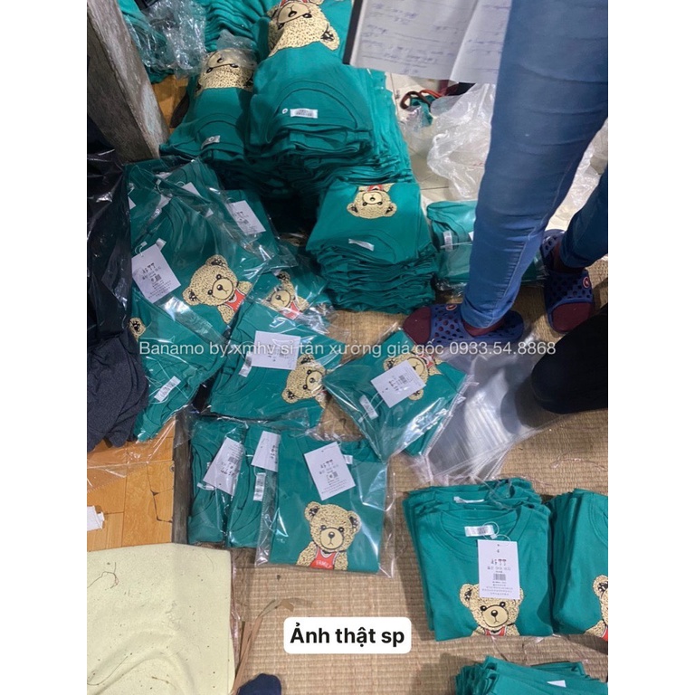 Áo thun đồng phục gia đình áo phông hình gấu xinh xỉu thời trang Banamo Fashion 3115