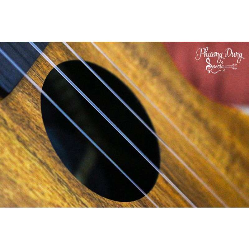 Bộ dây đàn trong suốt - Strings Ukulele