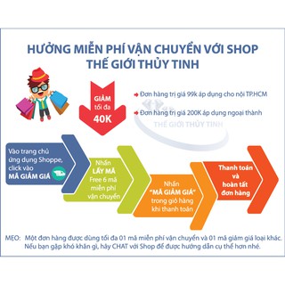 Bình Thủy Tinh Long Phụng 10L