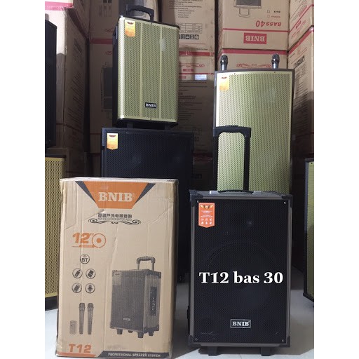LOA KÉO BNIB - bass từ 20 đến 40 , có 2 tay mic các mã từ T8 , T10 , T12, T15 , CÔNG SUẤT LỚN , CHẤT ÂM HAY