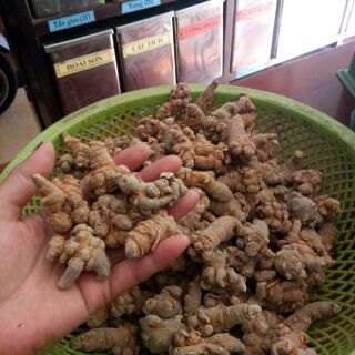 [FREESHIP 99K TOÀN QUỐC Tam thất bắc loại 70 củ /1 kg , rửa sạch sấy khô