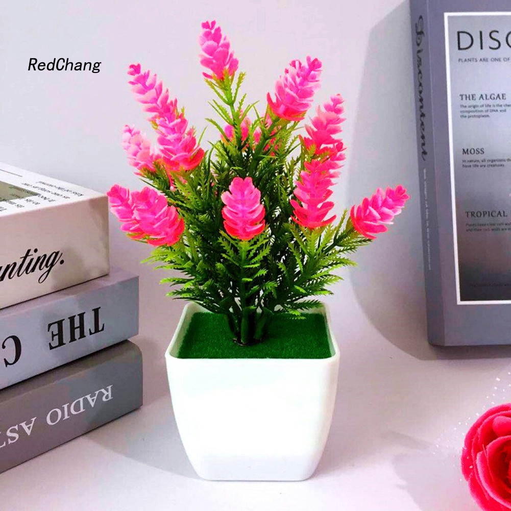 ♧Phụ Kiện Chuyên Dụng Dành Cho Fzhh Fzhh♧1 Cây Thông Nhân Tạo Hình Nón Trang Trí Nhà Cửa