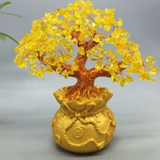 Cây thần tài, cây tài lộc, cây đá phong thủy, cây phát tài, phát lộc, cây trang trí may mắn cao 18cm