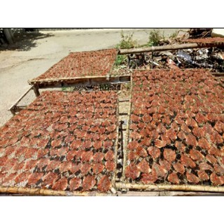 Cá ngân chỉ vàng 500g [ đặc sản] phan rang
