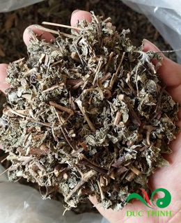 Chè dây Sa Pa loại 1 1 kg