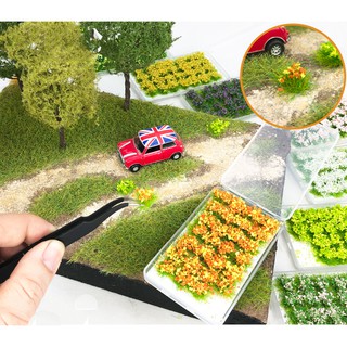 Cỏ Bụi Nhiều Mầu