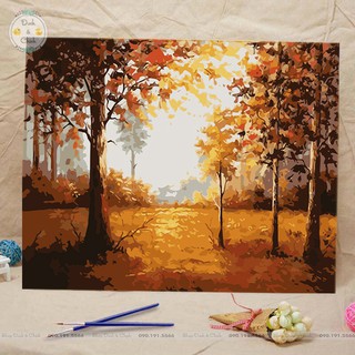 Tranh tô màu theo số MS06 - Khung cảnh mùa thu