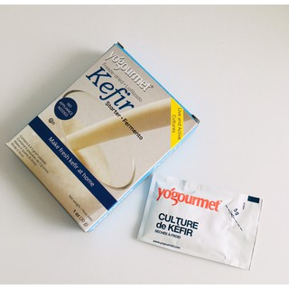 Men làm sữa chua khô kefir