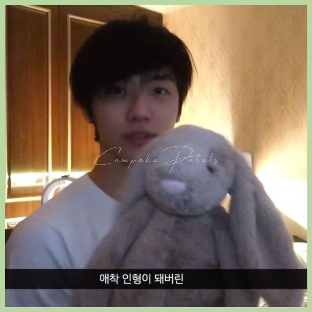 Thỏ nhồi bông tai dài kích thước 35cm/ 45cm cho trẻ em