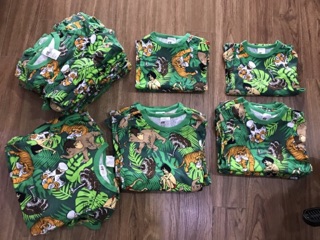 Bộ H&M bé trai cậu bé rừng xanh
