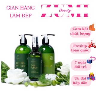 Bộ Chăm Sóc Tóc CaoCấp Vijully Dầu Gội Bưởi, Dầu Xả Dừa Hoa Cúc, Xịt Bưởi Kích Thích Mọc Tóc Dài- BG8