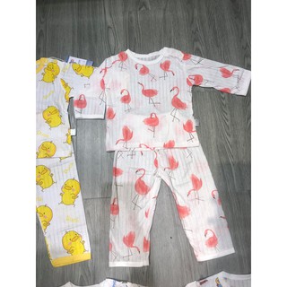 Bộ cotton giấy cho bé