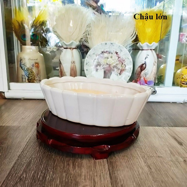 Chậu Sứ dĩa 🌷( trồng sen đá, xương rồng,cắm hoa vải,hoa giả..)