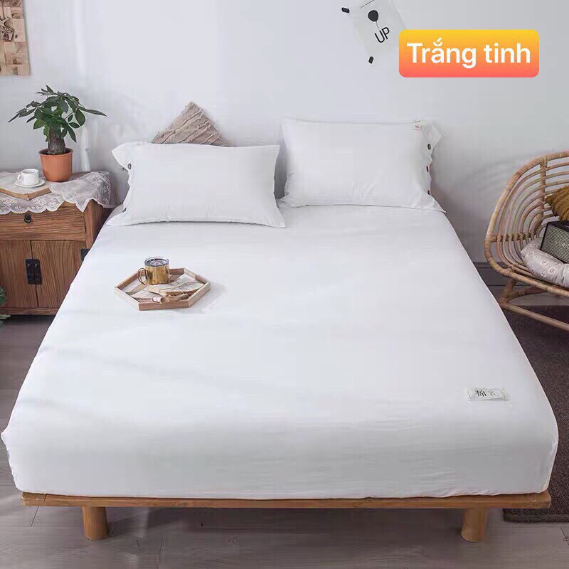 Ga và vỏ gối SUNNY Bedding màu trắng full chất liệu Cotton Tici mềm mịn cho ga (drap) M2,M4,M6,M8,2M2,freesize