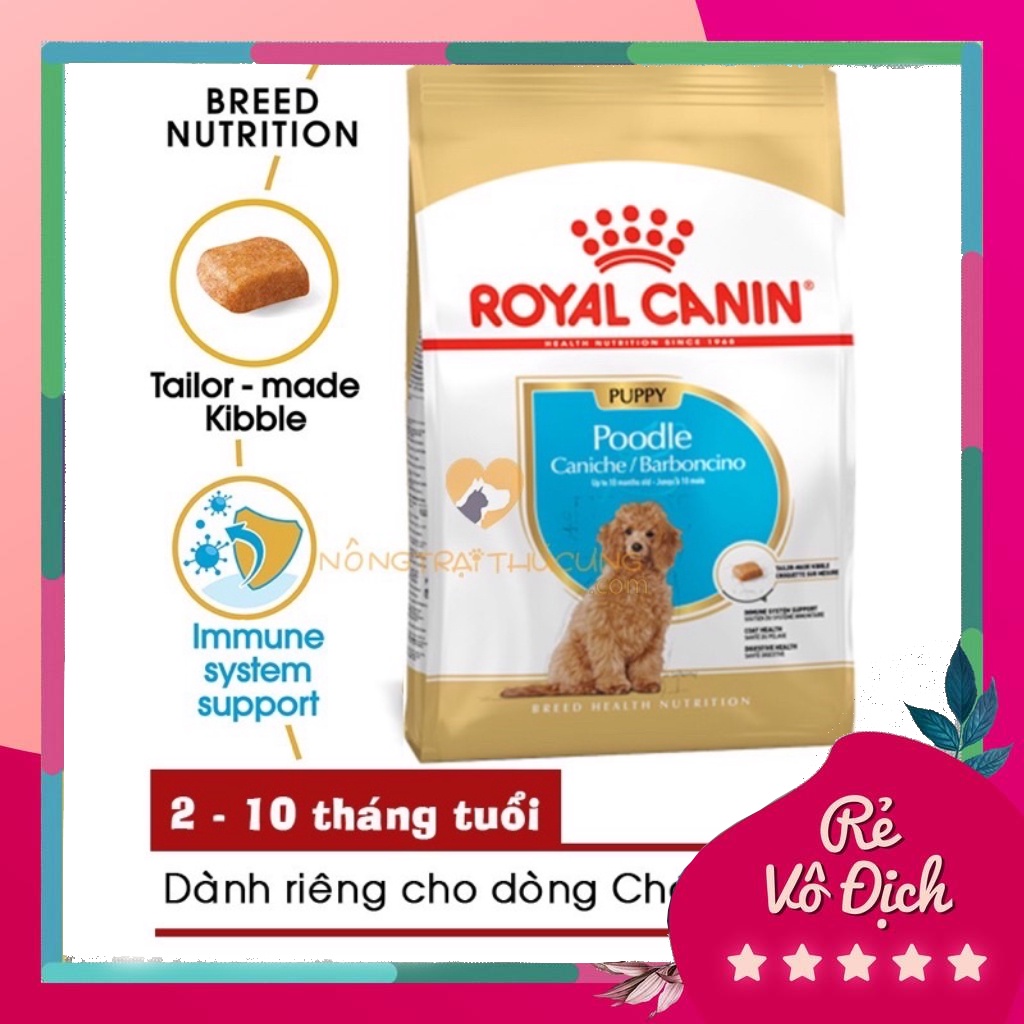 [Royal Canin Poodle Puppy 500gr] Thức ăn hạt cho chó con