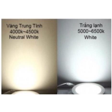 Đèn Led rọi ray ống bơ 5W trang trí shop