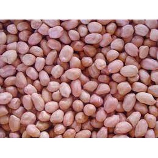 Đậu phộng chưa rang, lạc nhân bóc tay khô giòn quê (không bóc máy, không mốc) gói 1 - 3 kg