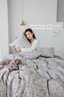 bộ chăn ga gối cotton 4 món