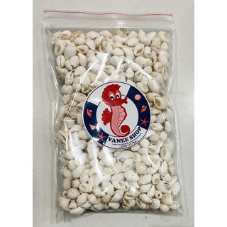 Vỏ ốc sen trắng 100gr