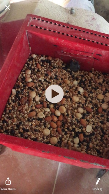 1kg Ngũ Cốc Dinh Dưỡng Tuệ Minh