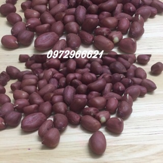 Lạc nhân đỏ hay lạc đỏ, đậu phộng đỏ