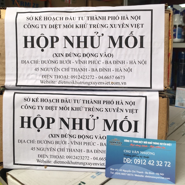 Hộp nhử mối