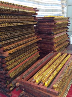 SỮA ONG CHÚA TƯƠI