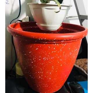 Chậu Nhựa Đá Tròn Cao + Tặng lưới giữ nước (Rất thích hợp để trồng mai, quất, cúc, đào)