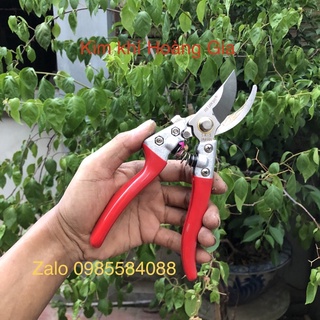 Kéo cắt tỉa cành hoa cây cảnh peny 8inc nhập khẩu Nhật Bản hàng chất lượng