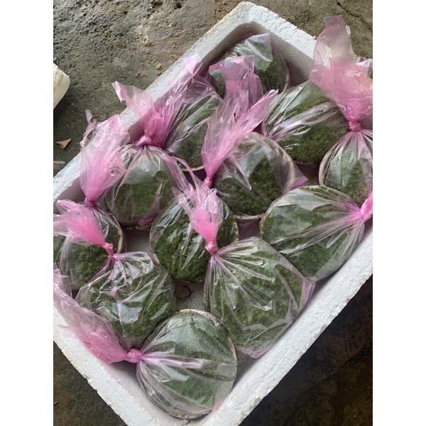 Cây thủy sinh Trân châu Ngọc trai