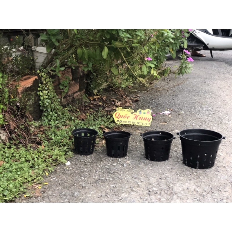 Chậu trồng lan Đen phi 12cm/14cm/16cm/18cm/21cm